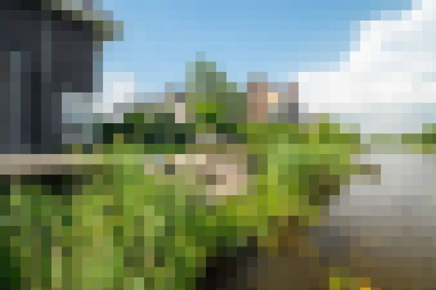De Grasjuffer 21 Eelderwolde thumbnail 52