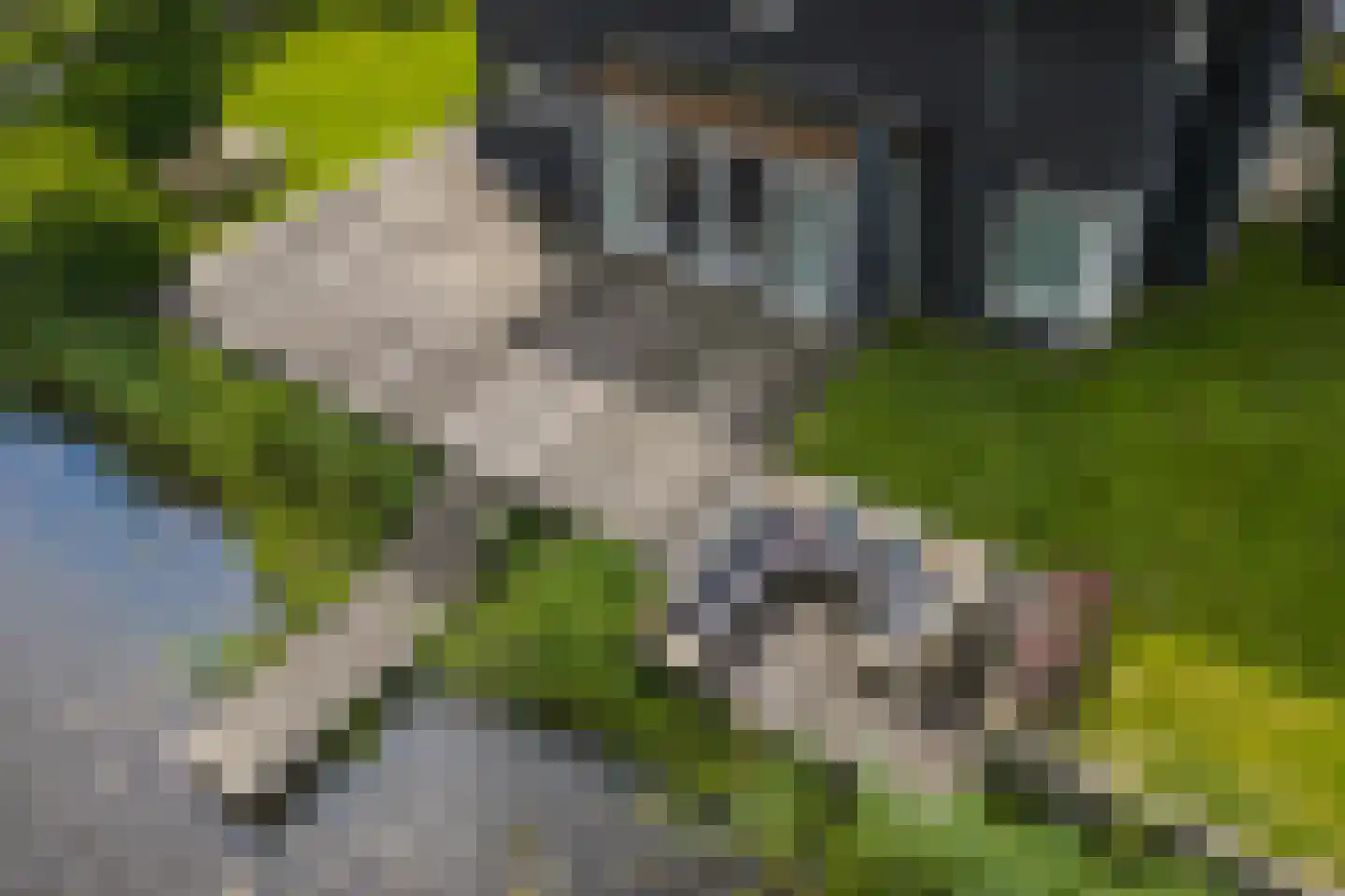 De Grasjuffer 21 Eelderwolde thumbnail 53