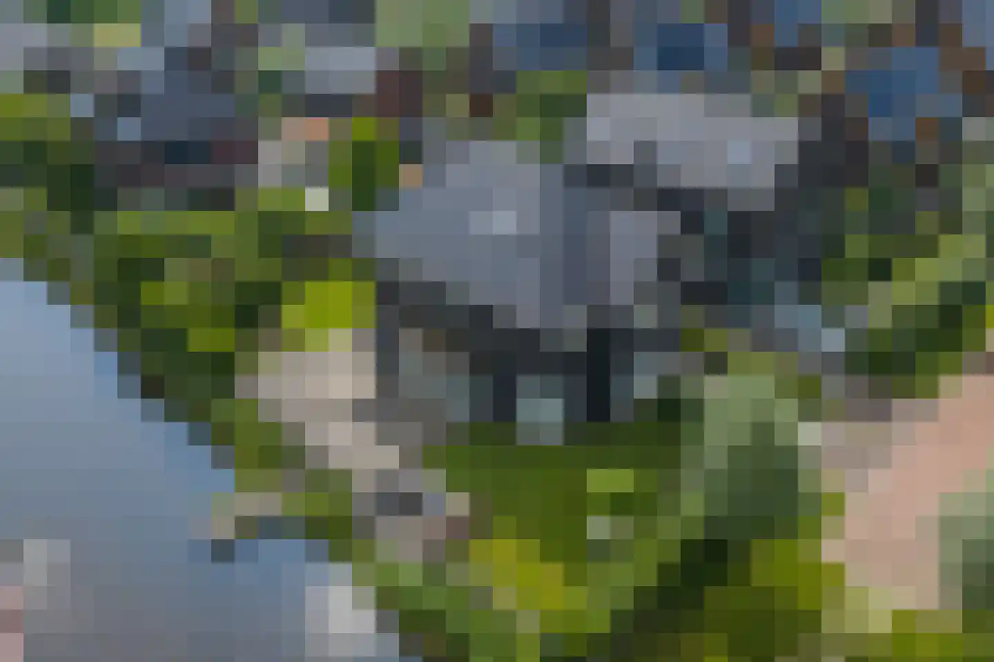 De Grasjuffer 21 Eelderwolde thumbnail 54