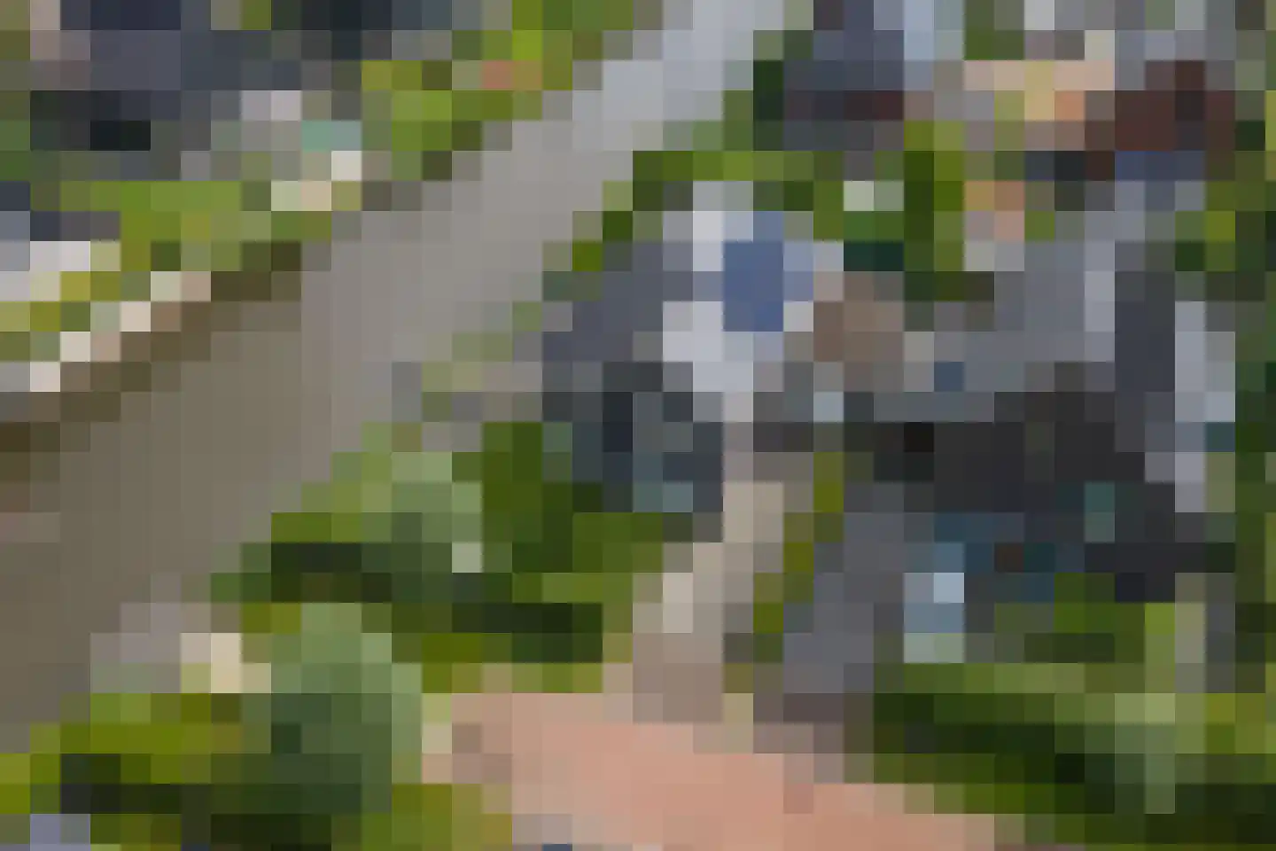 De Grasjuffer 21 Eelderwolde thumbnail 55