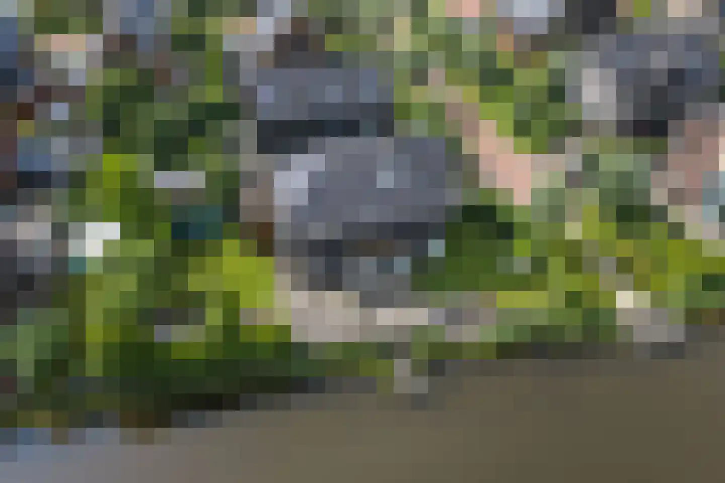 De Grasjuffer 21 Eelderwolde thumbnail 56