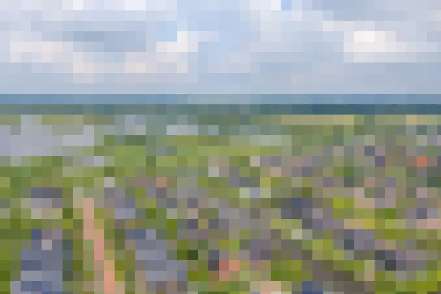 De Grasjuffer 21 Eelderwolde thumbnail 58
