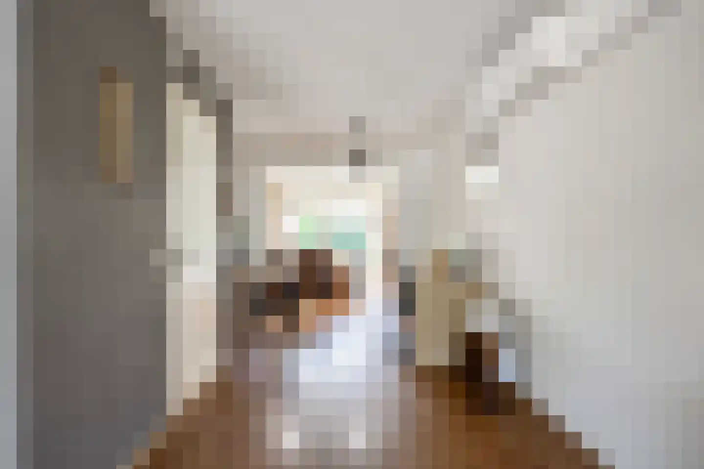 De Graslanden 7 Sauwerd thumbnail 11