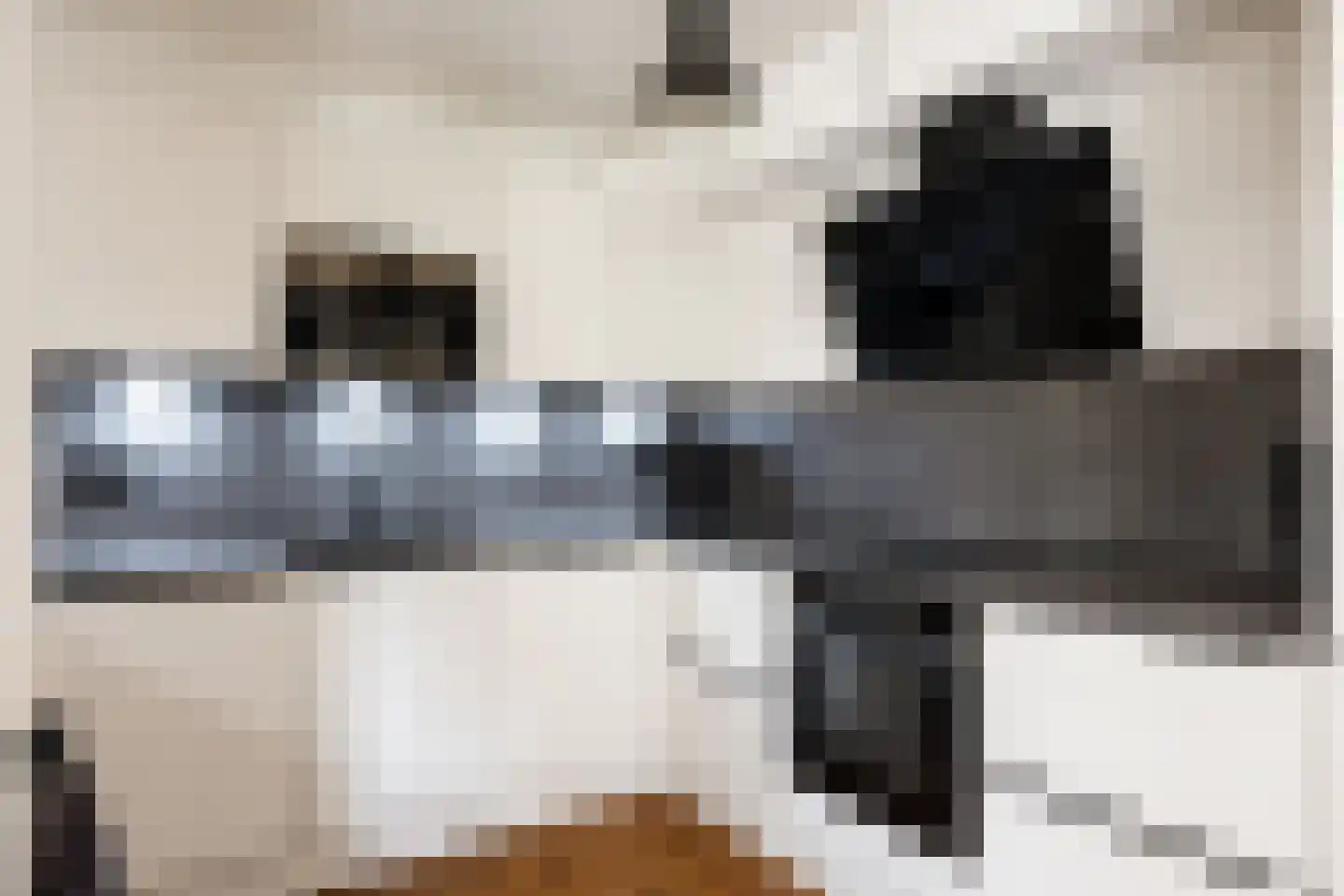De Graslanden 7 Sauwerd thumbnail 16