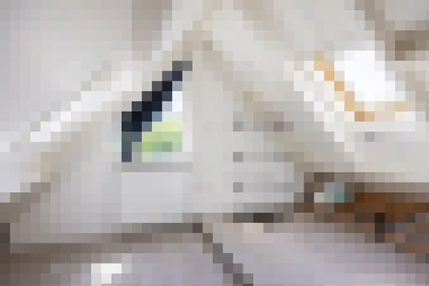 De Graslanden 7 Sauwerd thumbnail 23