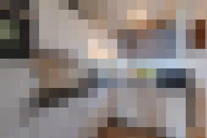 De Grasmus 34 Hoogeveen thumbnail 13