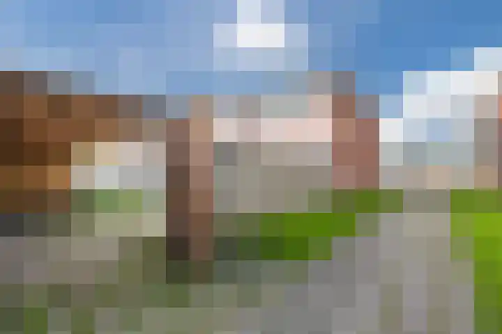 De Grasmus 34 Hoogeveen thumbnail 31