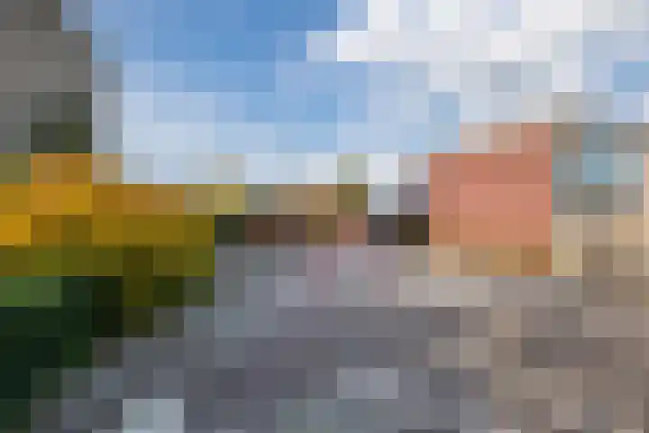 De Grasmus 34 Hoogeveen thumbnail 32