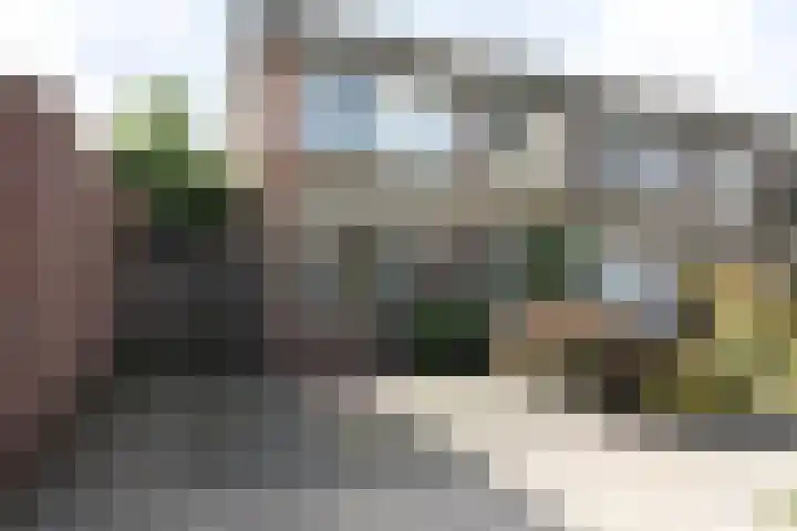 De Graspieper 20 en Vriezenveen