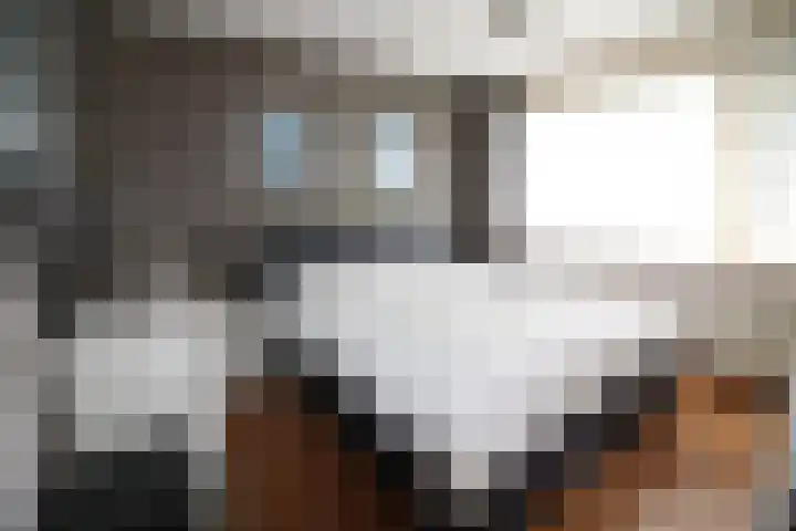 De Graspieper 20 Vriezenveen thumbnail 10