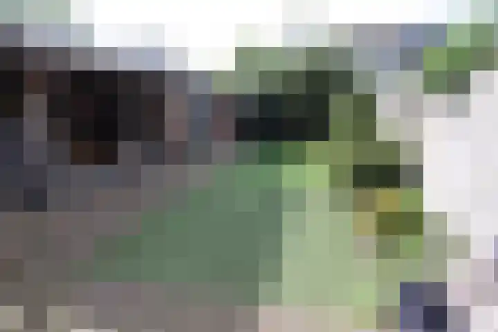 De Graspieper 20 Vriezenveen thumbnail 16