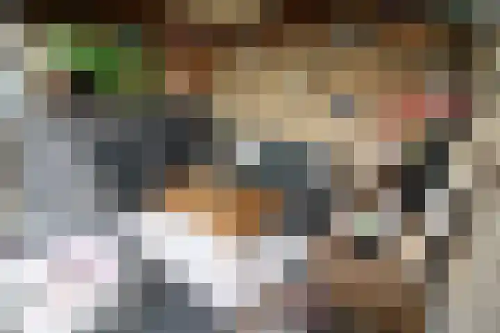 De Graspieper 20 Vriezenveen thumbnail 18