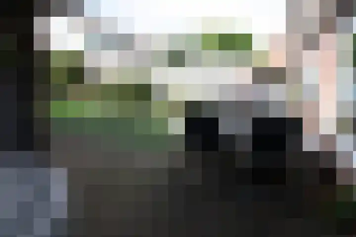 De Graspieper 20 Vriezenveen thumbnail 21