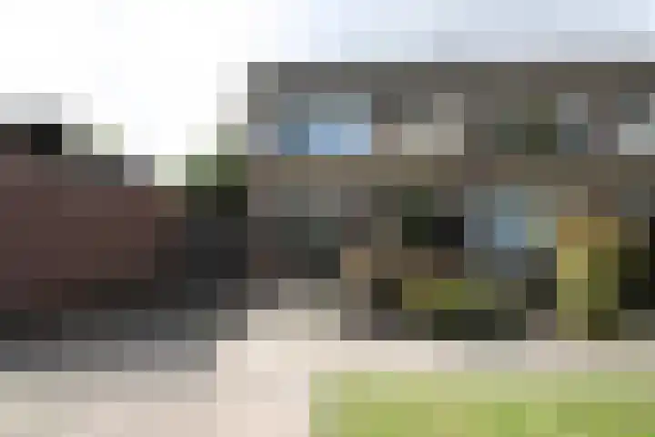 De Graspieper 20 Vriezenveen thumbnail 26