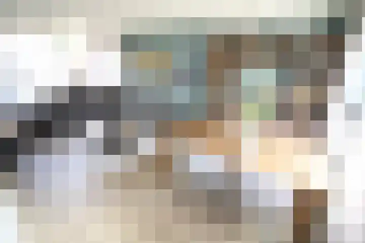 De Graspieper 20 Vriezenveen thumbnail 4