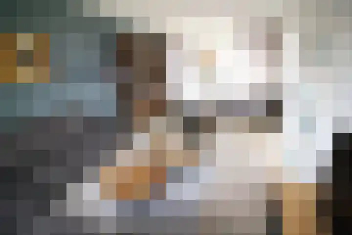 De Graspieper 20 Vriezenveen thumbnail 5