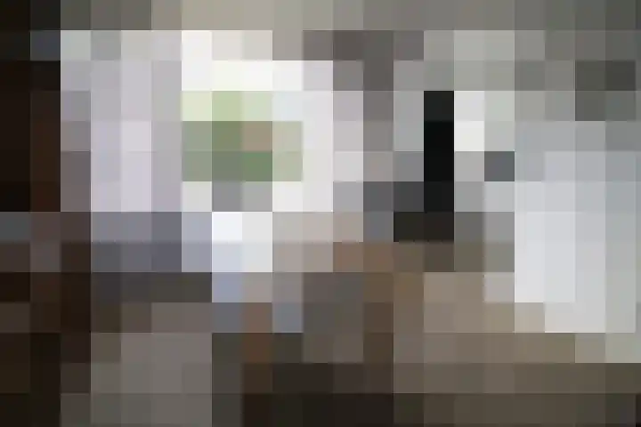 De Graspieper 20 Vriezenveen thumbnail 6