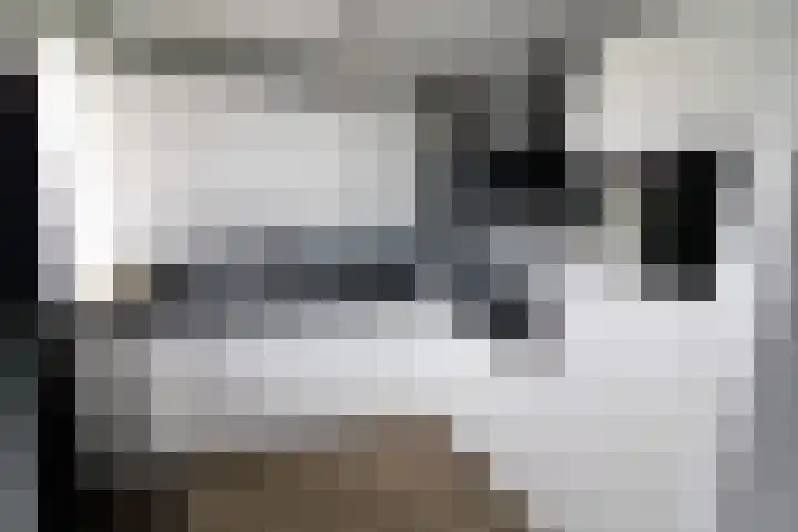 De Graspieper 20 Vriezenveen thumbnail 7