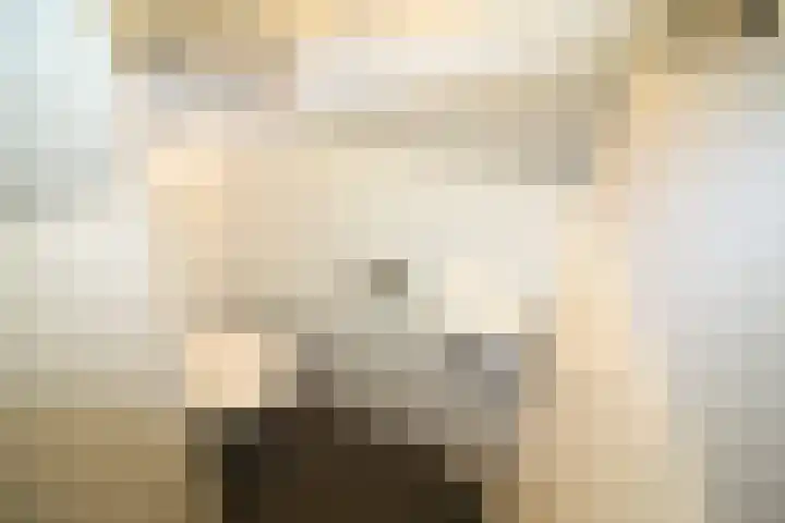 De Graspieper 20 Vriezenveen thumbnail 8