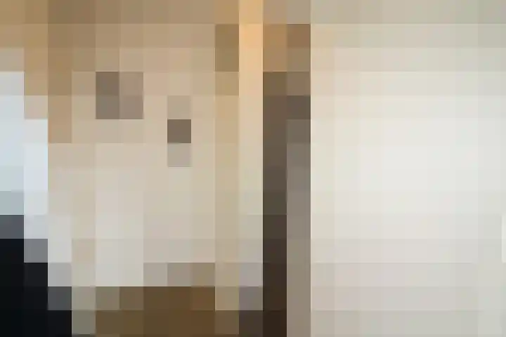 De Graspieper 20 Vriezenveen thumbnail 9