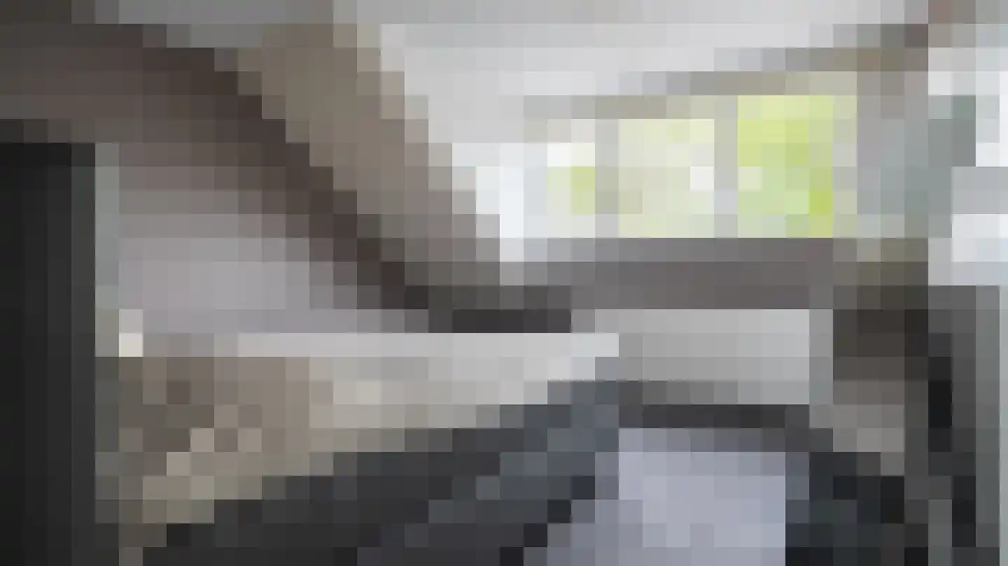 De Graspieper 3 Almelo thumbnail 13