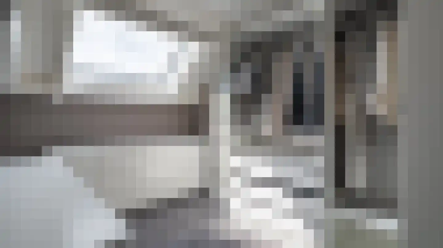 De Graspieper 3 Almelo thumbnail 15