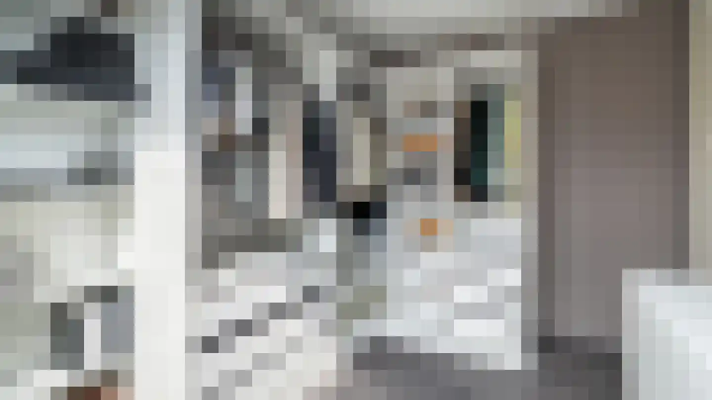 De Graspieper 3 Almelo thumbnail 16