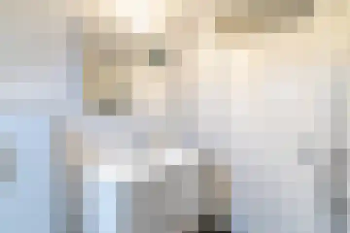 De Graspieper 41 Almelo thumbnail 17
