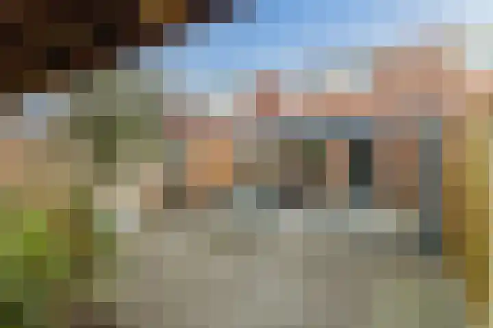 De Graspieper 41 Almelo thumbnail 20