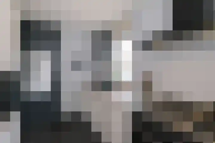 De Graspieper 6 Almelo thumbnail 11