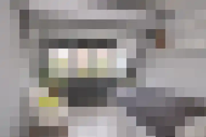 De Graspieper 6 Almelo thumbnail 17
