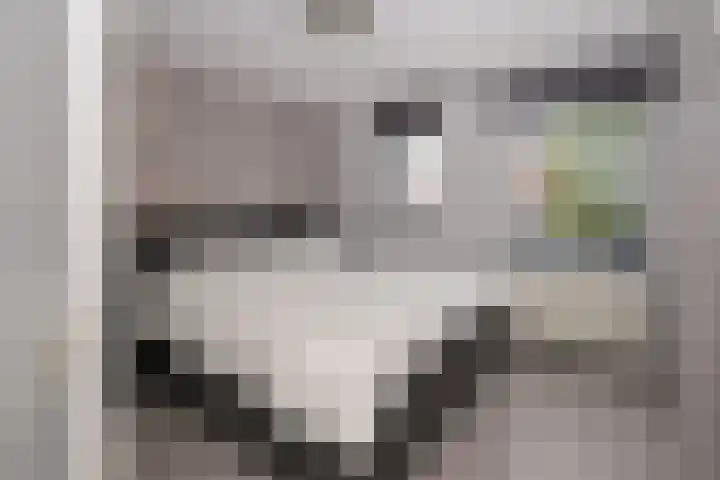 De Graspieper 6 Almelo thumbnail 18