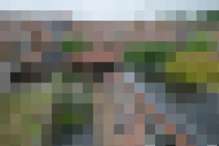 De Graspieper 6 Almelo thumbnail 20