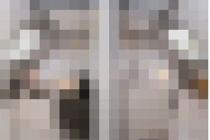 De Graspieper 6 Almelo thumbnail 21