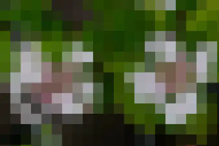 De Graspieper 6 Almelo thumbnail 24