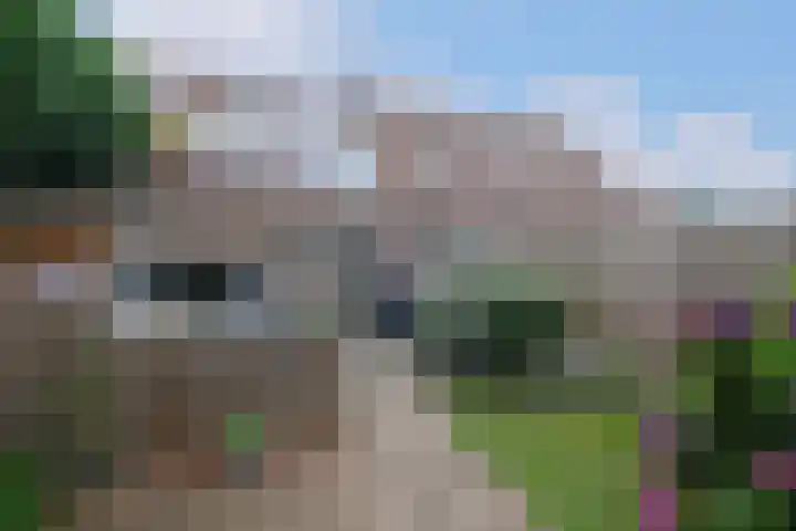 De Graspieper 6 Almelo thumbnail 26