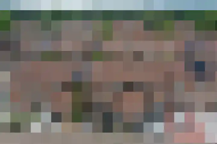 De Graspieper 6 Almelo thumbnail 28