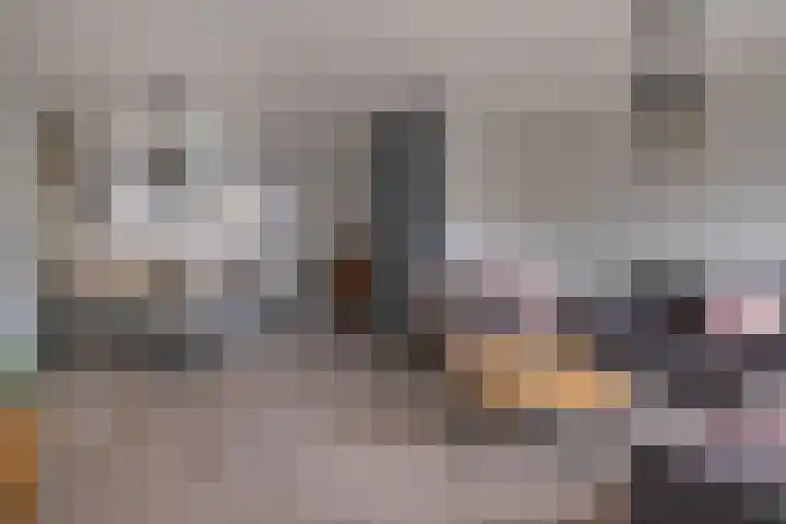 De Graspieper 6 Almelo thumbnail 6