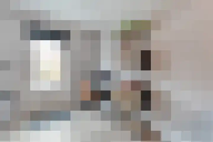 De Graspieper 61 Almelo thumbnail 10
