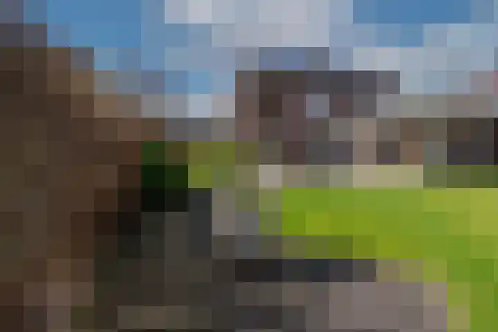 De Graspieper 61 Almelo thumbnail 21