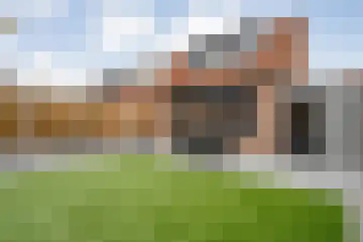 De Graspieper 61 Almelo thumbnail 24