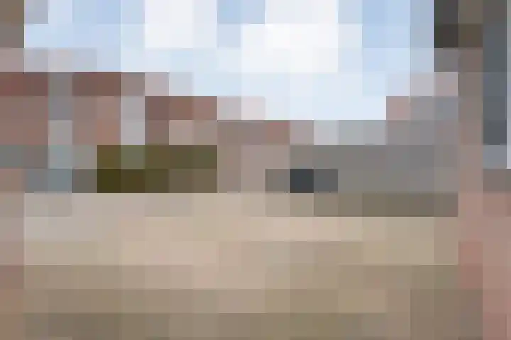 De Graspieper 61 Almelo thumbnail 27