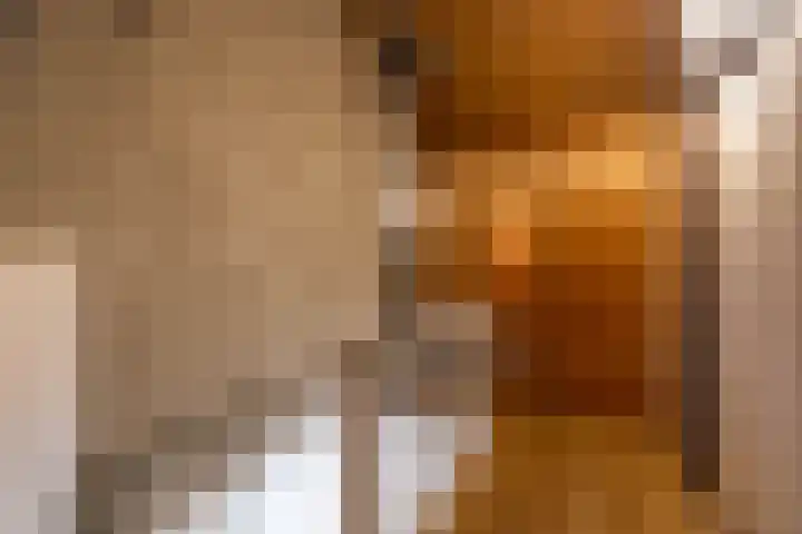 De Graspieper 66 Almelo thumbnail 18