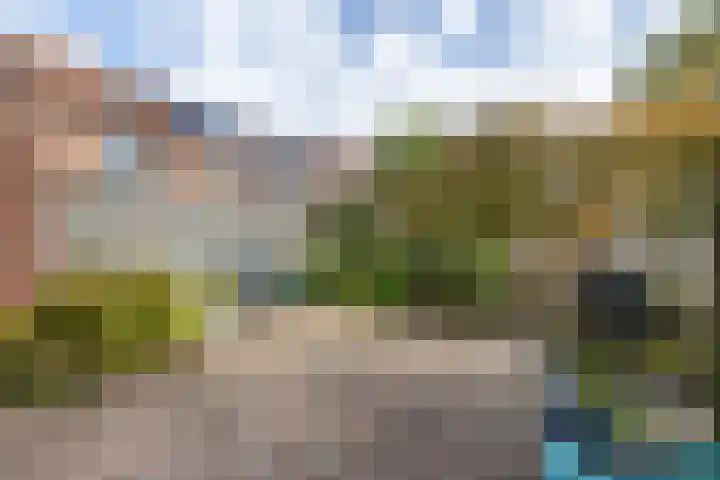 De Graspieper 66 Almelo thumbnail 21