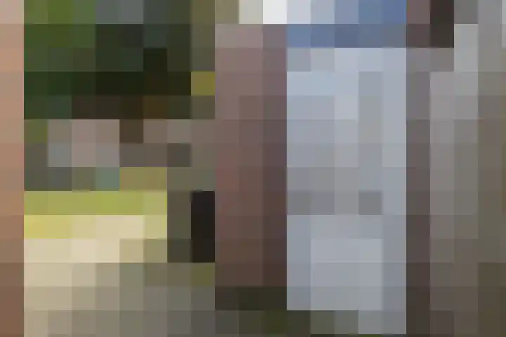 De Graspieper 66 Almelo thumbnail 23