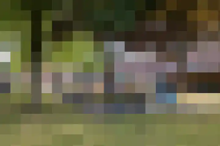 De Graspieper 66 Almelo thumbnail 25