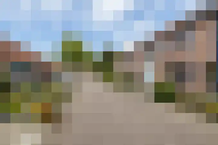 De Graspieper 66 Almelo thumbnail 26