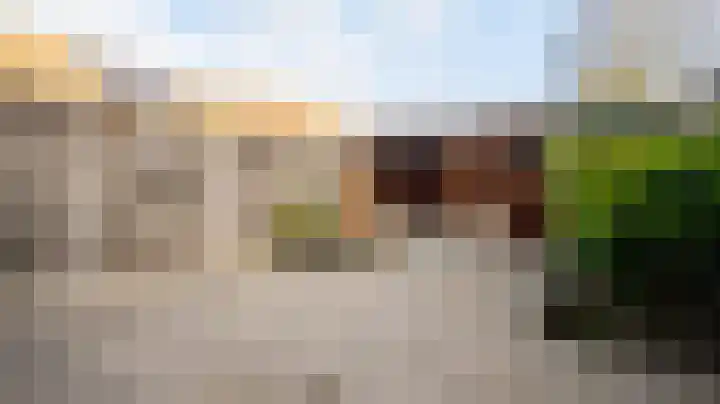 De Graspieper 68 Almelo thumbnail 27