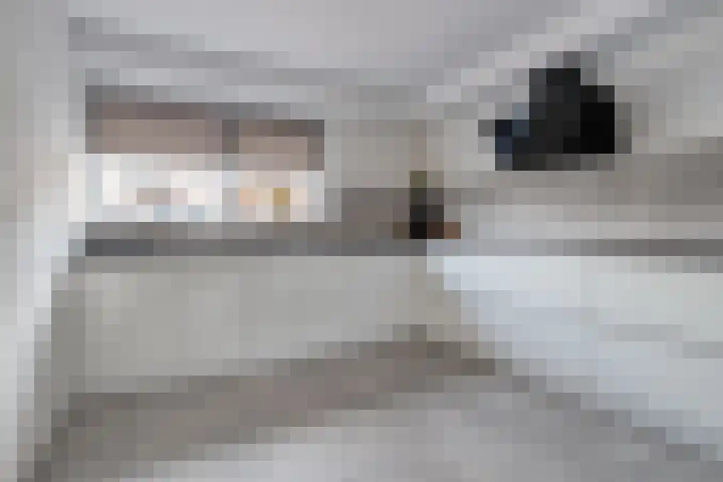 De Graspieper 7 Almelo thumbnail 11