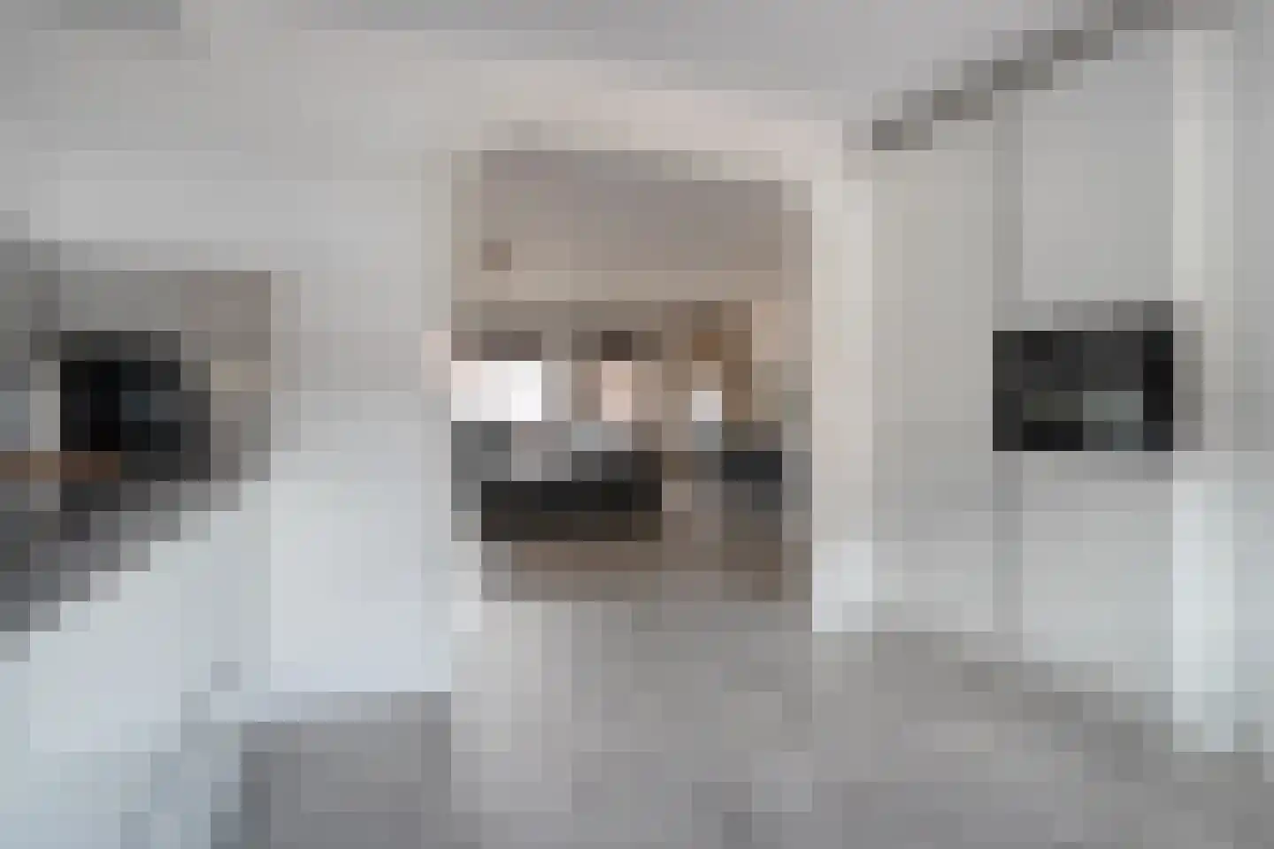 De Graspieper 7 Almelo thumbnail 12